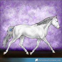 Horse Color:Cremello Roan Dun 