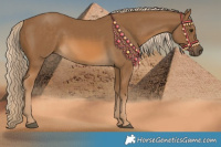 Horse Color:Chocolate Palomino 