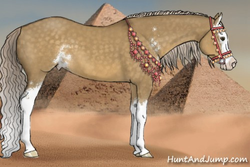 Horse Color:Chocolate Palomino Dun Sabino Splash 