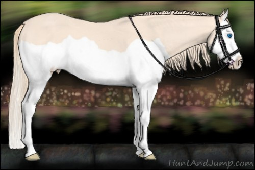 Horse Color:Perlino Splash 