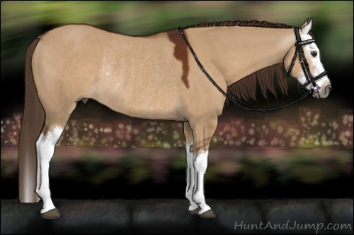 Horse Color:Gray Red Dun Splash Rabicano 