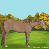 Horse Color:Gray Smoky Creme 