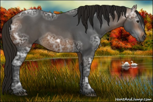 Horse Color:Gray Buckskin Ice Sabino Rabicano 