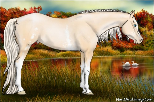 Horse Color:White Spotted Palomino Pearl 