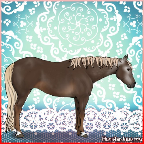 Horse Color:Gray Chocolate Palomino 