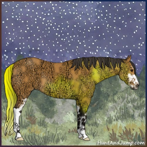 Horse Color:Buckskin Ice Sabino 