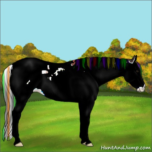 Horse Color:Painted Brown Splash Tobiano 