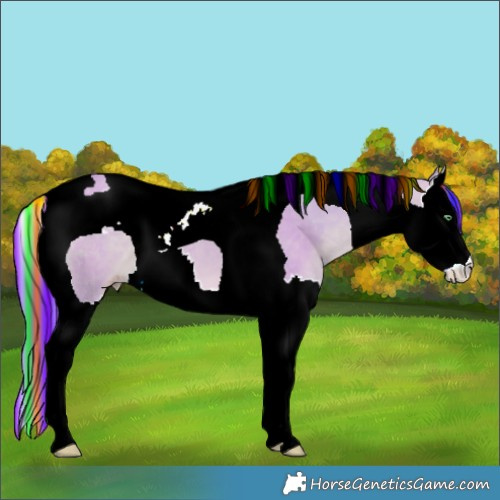 Horse Color:Painted Watercolor Sable Cream Champagne Dun Splash Tobiano 