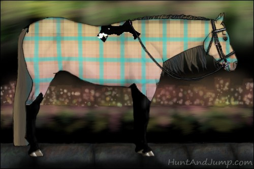 Horse Color:Plaid  Bay Dun Tobiano 