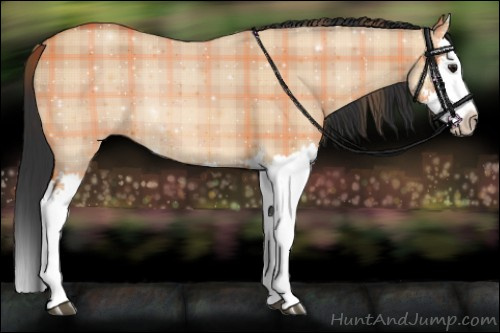 Horse Color:Plaid  Bay Dun Splash 