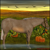Horse Color:Chocolate Palomino Varnish 