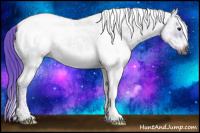 Horse Color:Gray Watercolor White Spotted Bay Dun Splash Tobiano Frame Appaloosa