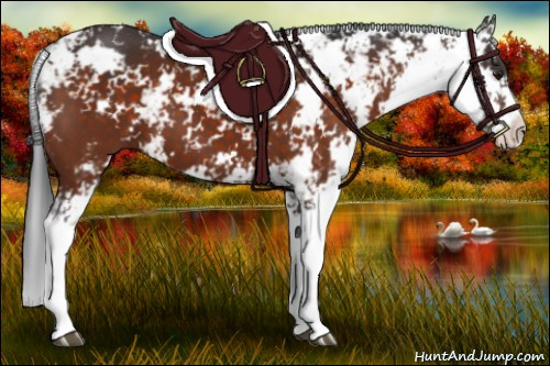 Horse Color:Brown Sabino 