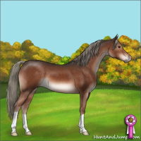 Horse Color:Liver Chestnut Mushroom 