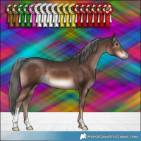 Horse Color:Liver Chestnut Mushroom 