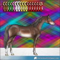 Horse Color:Liver Chestnut Mushroom 