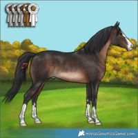 Horse Color:Brown 