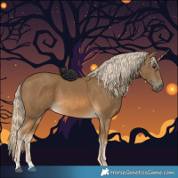 Horse Color:Chocolate Palomino 
