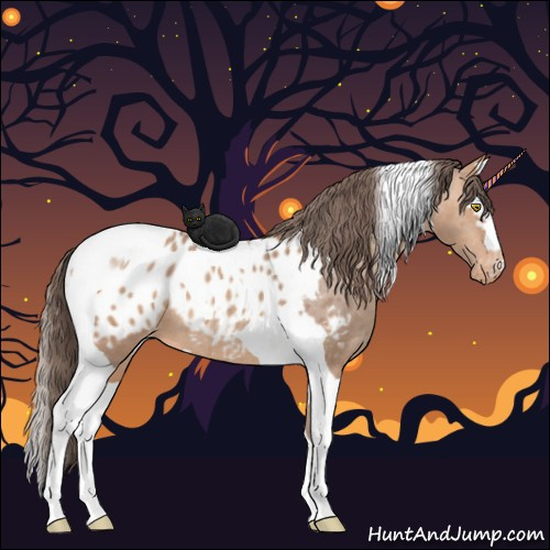 Horse Color:Amber Champagne Sabino Tobiano Appaloosa  and Amber Champagne Sabino Splash Tobiano Appaloosa 