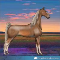 Horse Color:Chocolate Palomino 