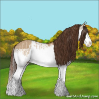 Horse Color:Red Dun Splash and Gray Red Dun Splash