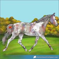 Horse Color:Nacre Silver Grullo Splash Tobiano Frame Rabicano