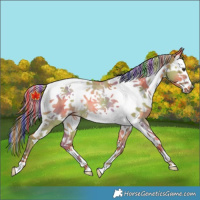Horse Color:Painted Nacre Red Dun Splash Tobiano Rabicano 