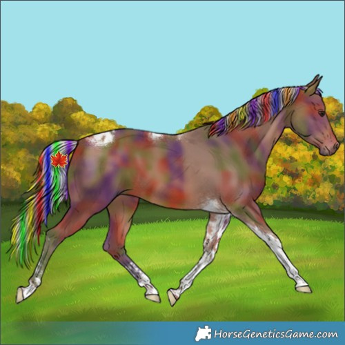 Horse Color:Painted Nacre Silver Brown Tobiano 
