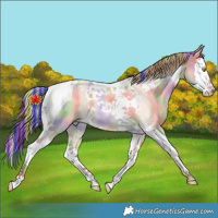 Horse Color:Painted Nacre Silver Classic Champagne Dun Splash Tobiano 
