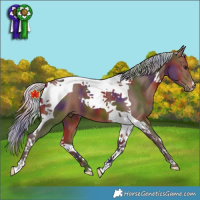 Horse Color:Nacre Silver Brown Tobiano 