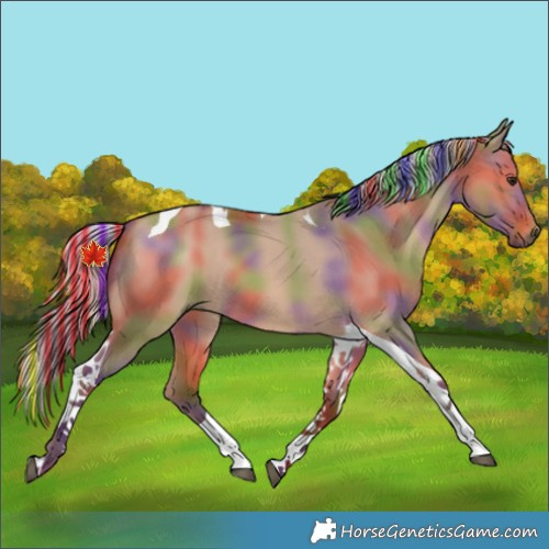 Horse Color:Painted Nacre Silver Bay Dun Tobiano 