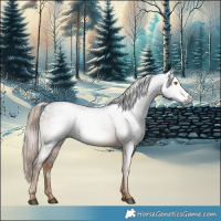 Horse Color:Gray White Spotted Liver Chestnut 