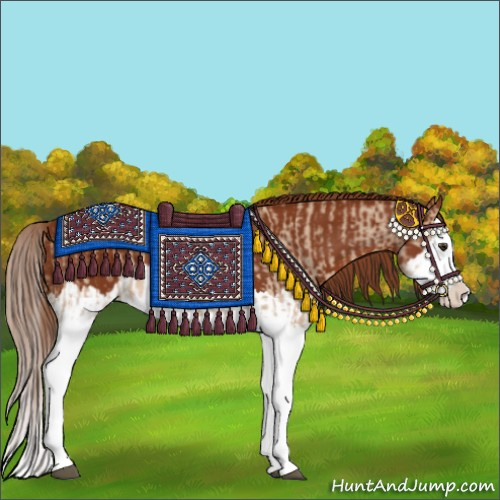 Horse Color:Red Dun Splash  and Chestnut Splash 
