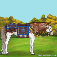 Horse Color:Red Dun Splash  and Chestnut Splash 