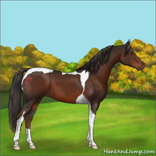 Horse Color:Liver Chestnut Tobiano 