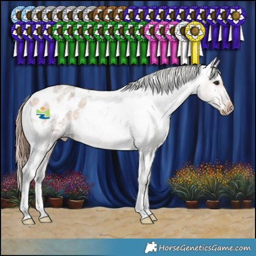 Horse Color:Bay Roan Dun Appaloosa Rabicano 