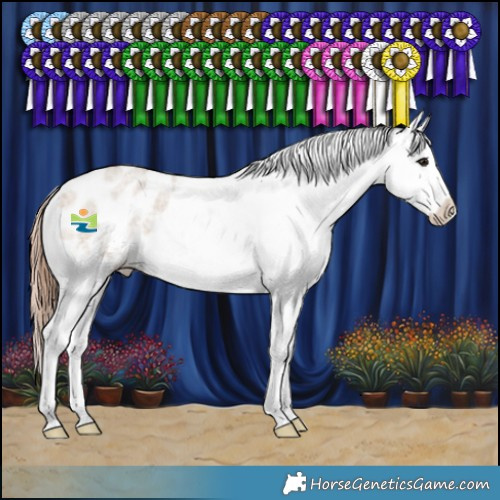 Horse Color:Bay Roan Dun Appaloosa Rabicano 