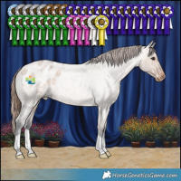 Horse Color:Bay Roan Dun Appaloosa Rabicano 