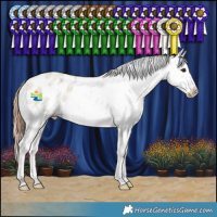 Horse Color:Bay Roan Dun Varnish Rabicano 