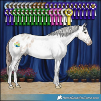 Horse Color:Bay Roan Dun Appaloosa Rabicano