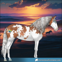 Horse Color:White Spotted Silver Bay Splash Rabicano 
