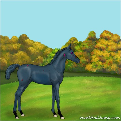 Horse Color:ERROR: UNKNOWN ANOMALY