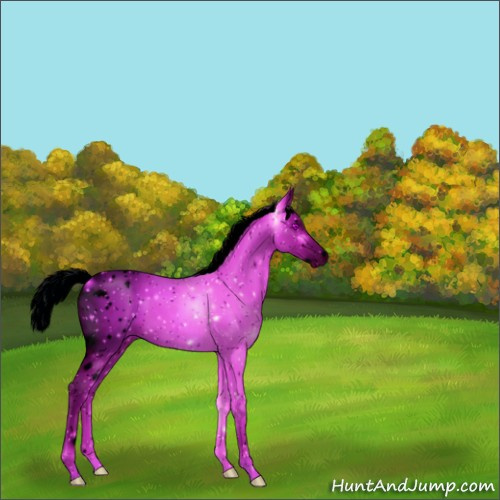 Horse Color:ERROR: UNKNOWN ANOMALY