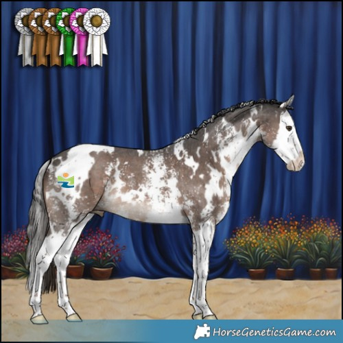 Horse Color:White Spotted Liver Chestnut Sabino Splash 