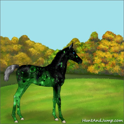 Horse Color:ERROR: UNKNOWN ANOMALY