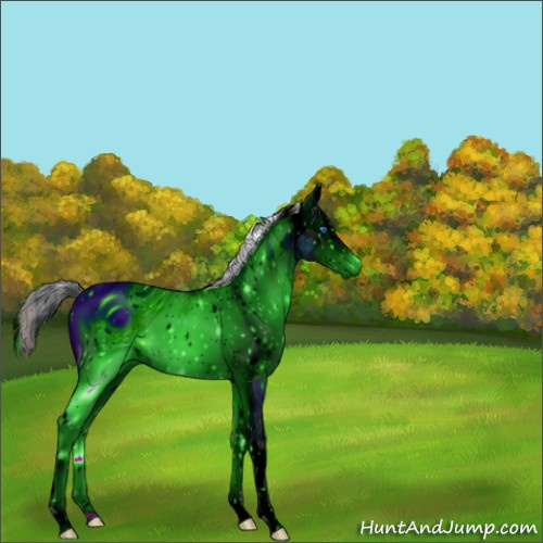 Horse Color:ERROR: UNKNOWN ANOMALY