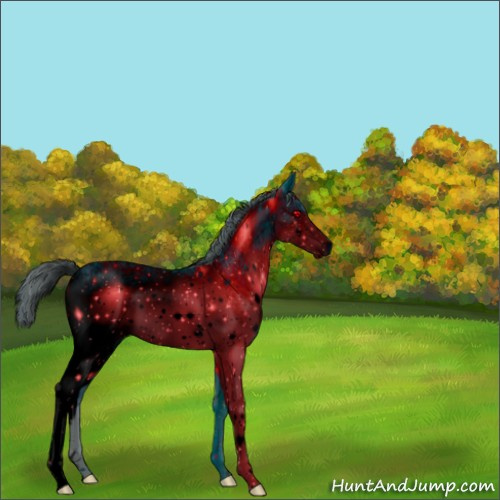 Horse Color:ERROR: UNKNOWN ANOMALY