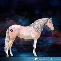 Horse Color:Silver Buckskin Pearl Dun Tobiano 