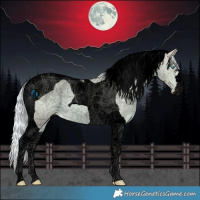 Horse Color:Void Watercolor Cremello Tobiano 