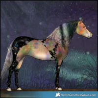 Horse Color:Void Nacre Silver Buckskin Tobiano
